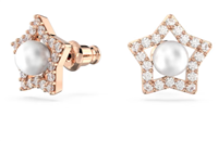 Orecchini Swarovski in Lega metallica 5645465 - 5645465